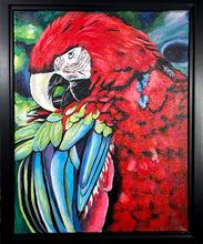 Load image into Gallery viewer, MASKED MAJESTY - RED MACAW