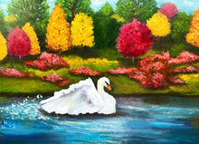 Load image into Gallery viewer, SHOWING OFF